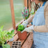 2.7m X 1.8m Willow Greenhouse