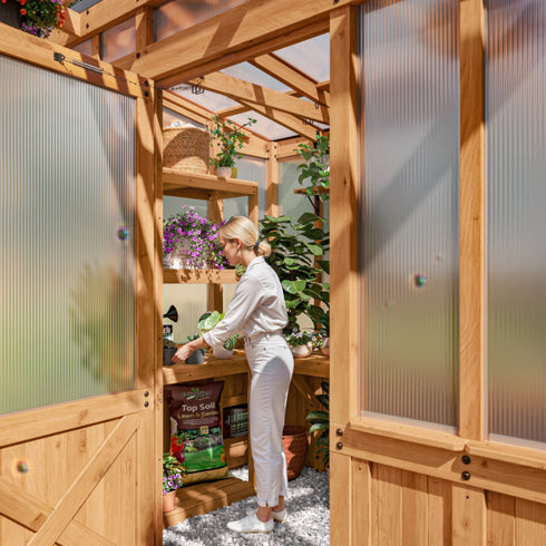 2.7m X 1.7m Poppy Greenhouse